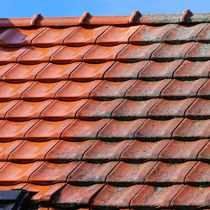 Démoussage de toiture à Montélimar