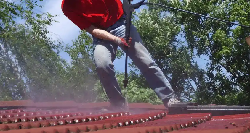 démoussage de toiture